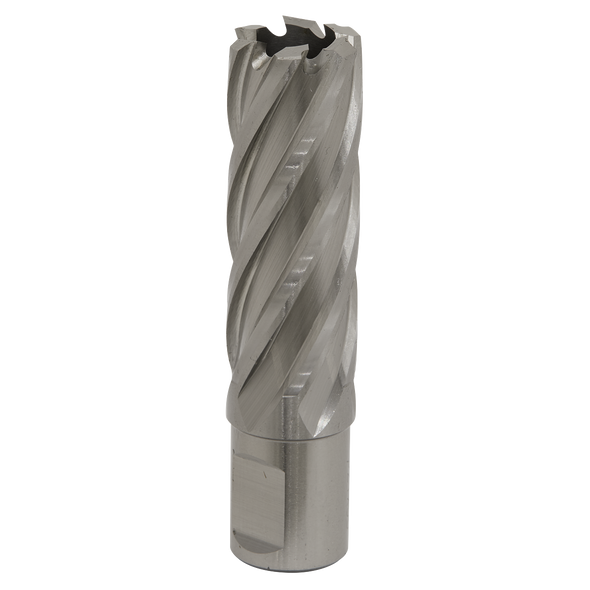 Worksafe® 22mm HSS Mag Drill Bit Cut Depth 50mm