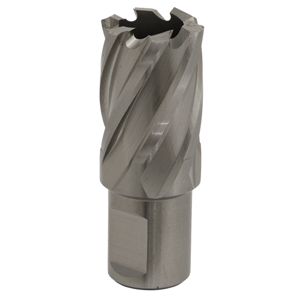 Worksafe® 22mm HSS Mag Drill Bit Cut Depth 25mm