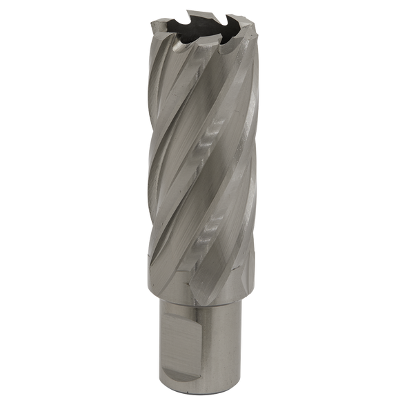 Worksafe® 25mm HSS Mag Drill Bit Cut Depth 50mm