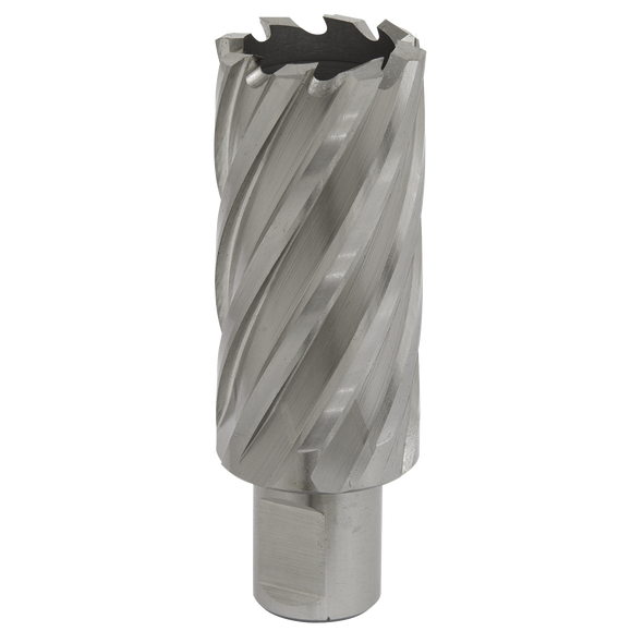 Worksafe® 28mm HSS Mag Drill Bit Cut Depth 50mm