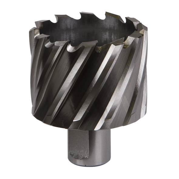 Worksafe® 51mm HSS Mag Drill Bit Cut Depth 25mm