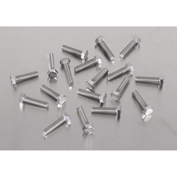 Stainless Steel Set Screw M6 x 25mm 1mm Pitch, DIN 933 - Pack of 50