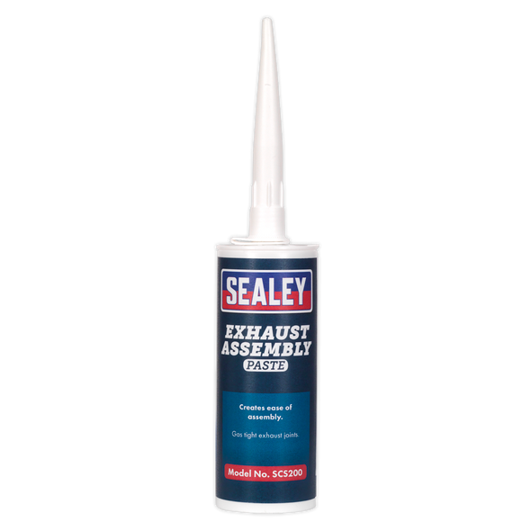 Exhaust Assembly Paste 300g