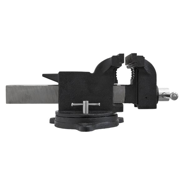SG Iron Industrial Vice with Swivel Base 200mm