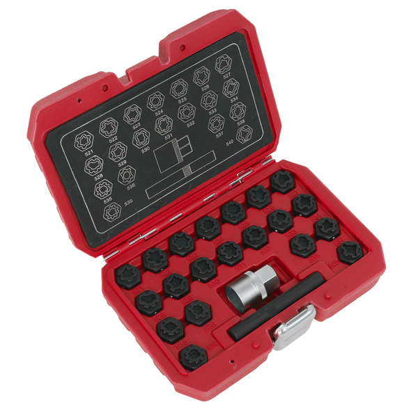 Locking Wheel Nut Key Set for VAG 22pc