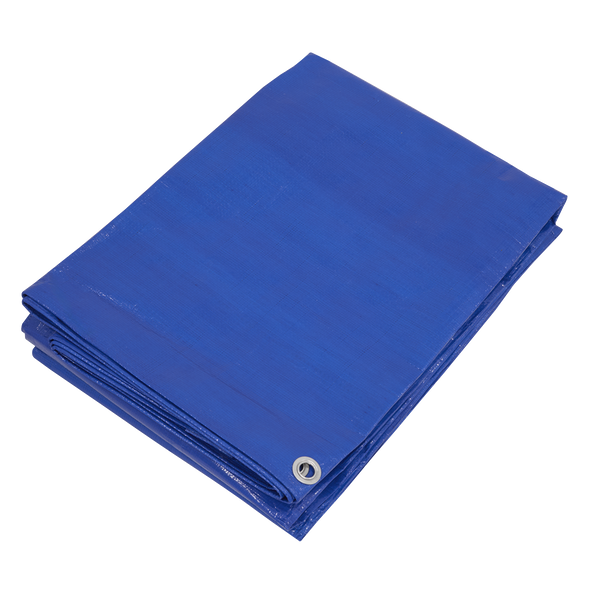 Lightweight PE Tarpaulin 3.66 x 4.88m - Blue