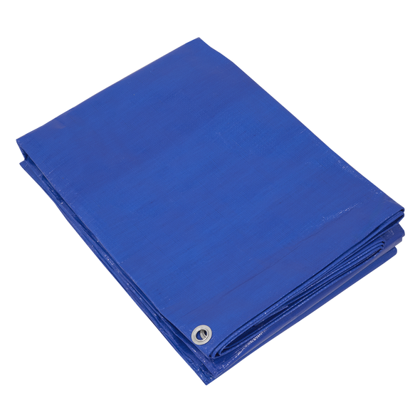 Lightweight PE Tarpaulin 5.49 x 7.32m - Blue