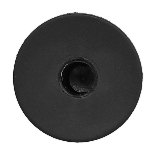 Locking Nut 20mm x 20mm, Toyota/Lexus - Pack of 20