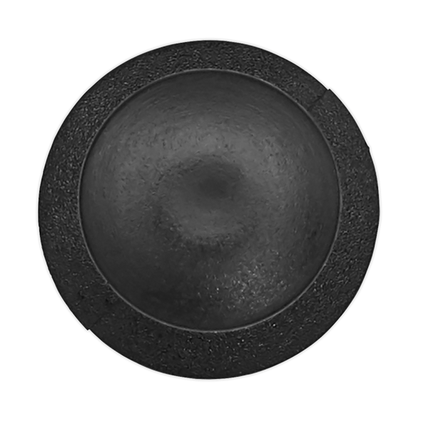 Push Rivet 20mm x 30mm, Universal - Pack of 20