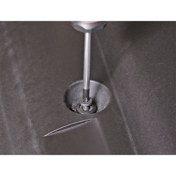 Screw Rivet 15mm x 21mm, GM/Honda - Pack of 20