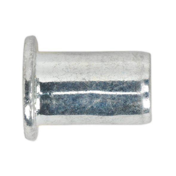 Regular Threaded Insert (Rivet Nut) M6 - Pack of 50