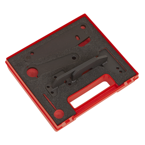 Petrol Engine Timing Tool for Dacia, Mercedes, Nissan, Renault 1.3 - Chain Drive