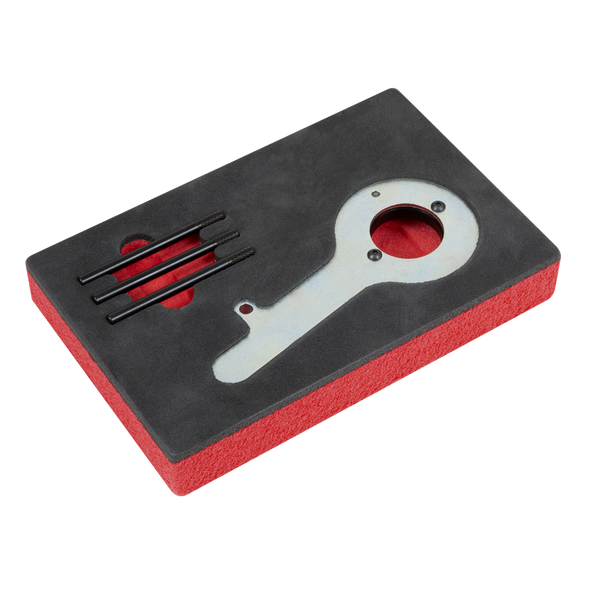 Diesel Engine Timing Tool Kit for Ford 2.0TDCi EcoBlue - Belt Drive