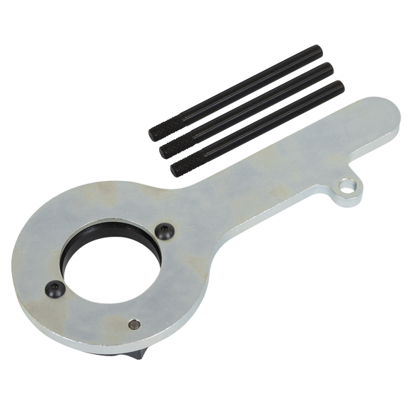 Diesel Engine Timing Tool Kit for Ford 2.0TDCi EcoBlue - Belt Drive