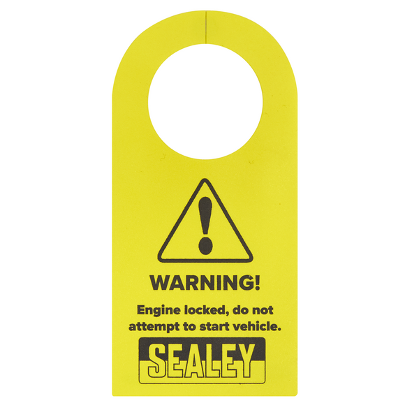 MG 1.5 Timing Tool Kit - Chain Drive