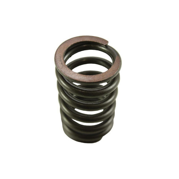 Defender/Discovery 1 Valve Spring from JGS4x4