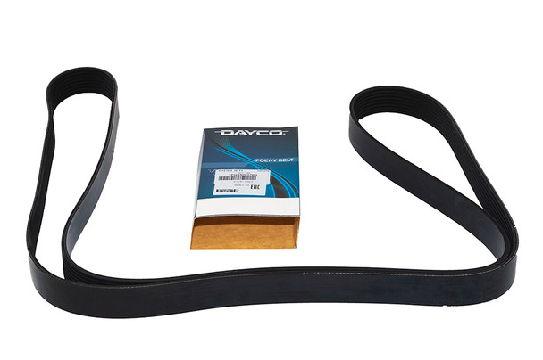 Drive Belt-PQS500370G | Dayco from JGS4x4