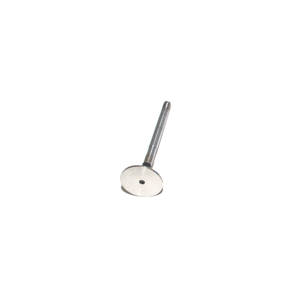 Exhaust Valve - ERR1156G | OEM from JGS4x4