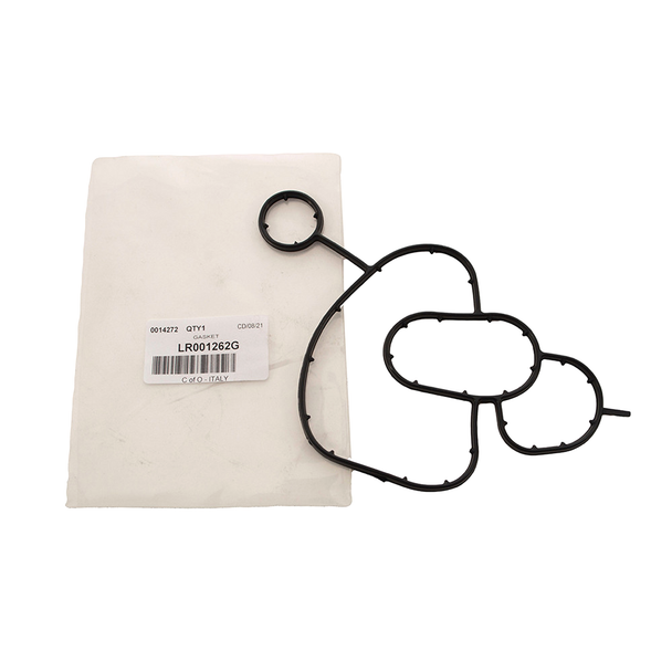 Gasket-LR001262G | REINZ from JGS4x4