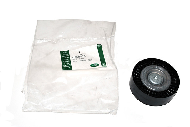 Idler Assembly-LR006076 | Genuine Land Rover from JGS4x4