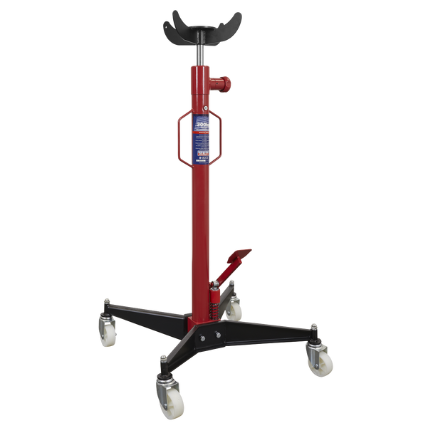 Vertical Transmission Jack 300kg - 300TR
