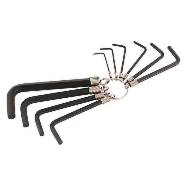 Premier Hex Key Set on Ring 10pc