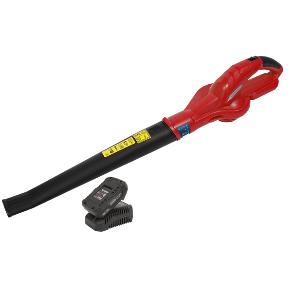 SV20 Series Cordless Leaf Blower with 20V 2Ah Battery & Charger