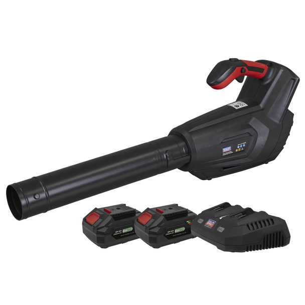 Cordless Blower Kit 40V 4Ah SV20 Series