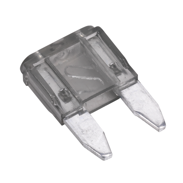 Automotive MINI Blade Fuse 2A - Pack of 50