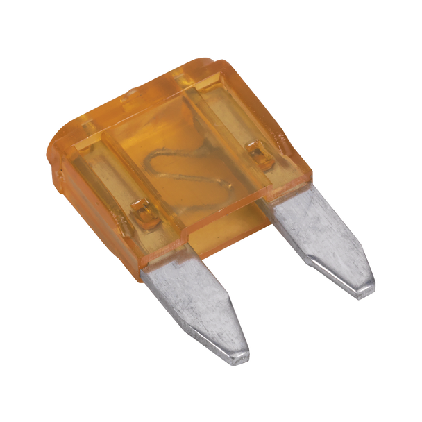 Automotive MINI Blade Fuses