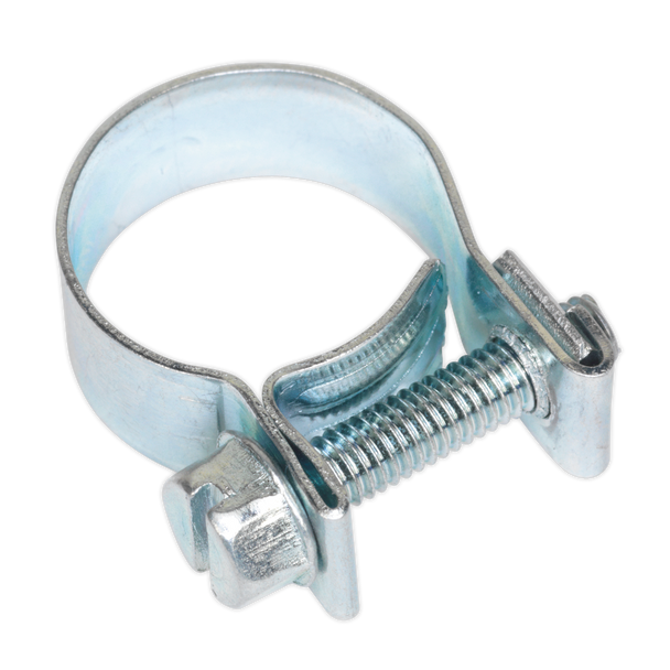 Mini Hose Clip 15-17mm - Pack of 20