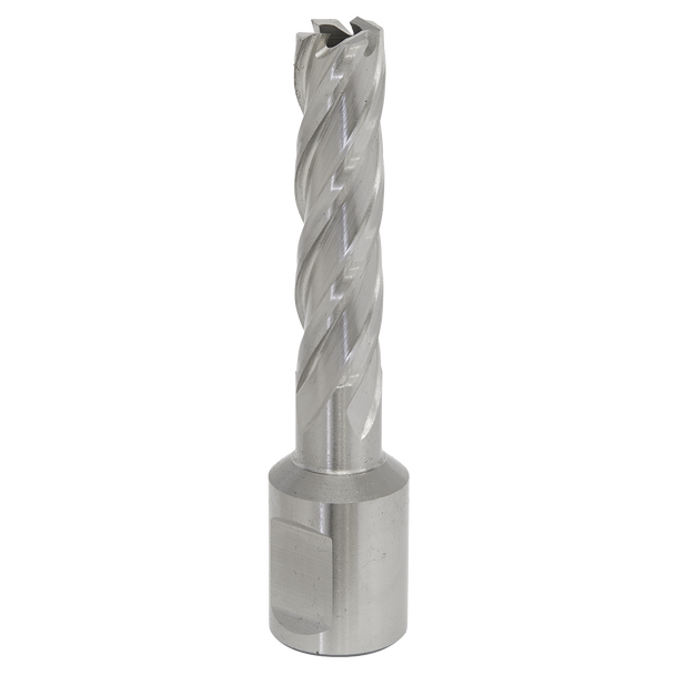 Worksafe® 12mm HSS Mag Drill Bit Cut Depth 50mm