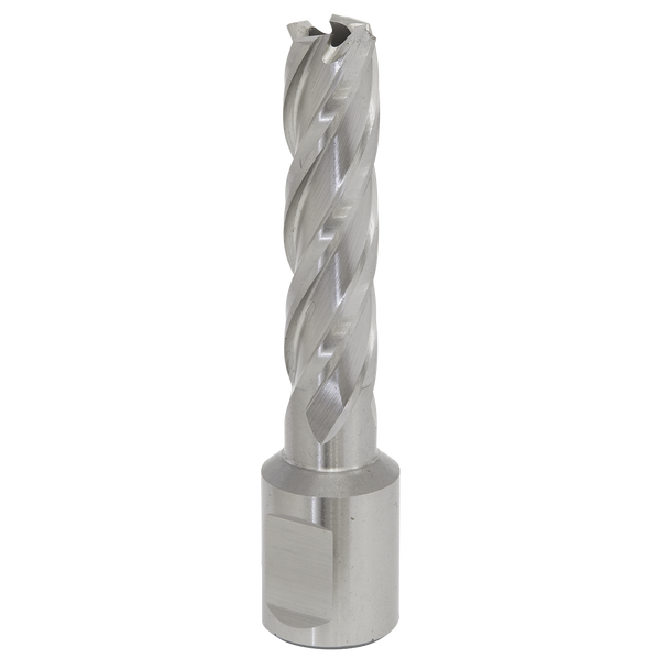 Worksafe® 13mm HSS Mag Drill Bit Cut Depth 50mm