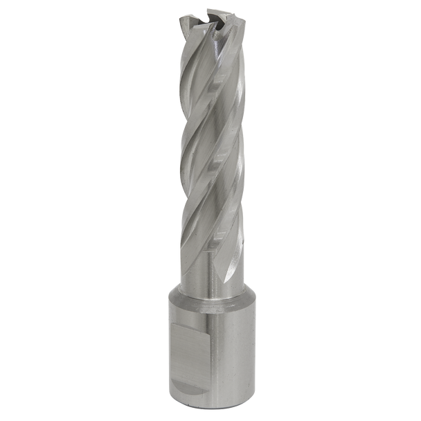 Worksafe® 14mm HSS Mag Drill Bit Cut Depth 50mm