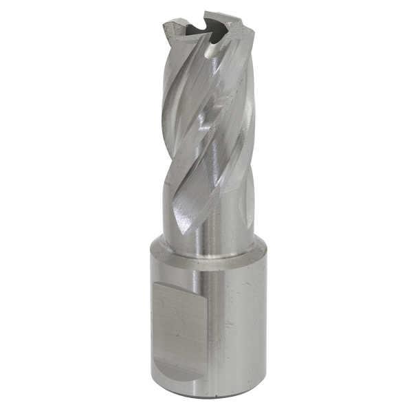 Worksafe® 15mm HSS Mag Drill Bit Cut Depth 25mm