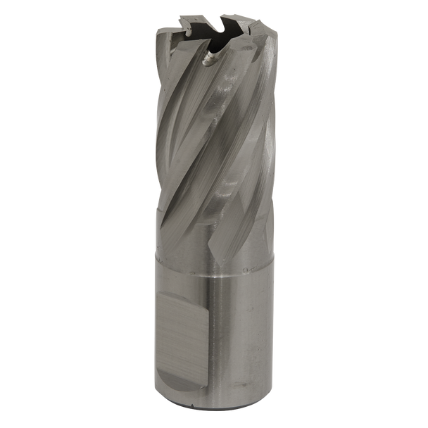 Worksafe® 19mm HSS Mag Drill Bit Cut Depth 25mm
