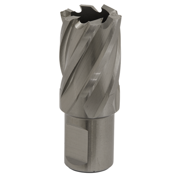 Worksafe® 22mm HSS Mag Drill Bit Cut Depth 25mm