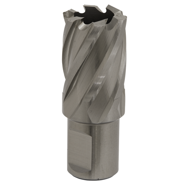 Worksafe® 23mm HSS Mag Drill Bit Cut Depth 25mm