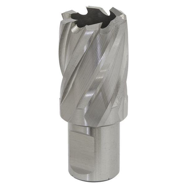 Worksafe® 25mm HSS Mag Drill Bit Cut Depth 25mm