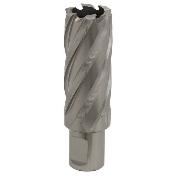 Worksafe® 26mm HSS Mag Drill Bit Cut Depth 50mm