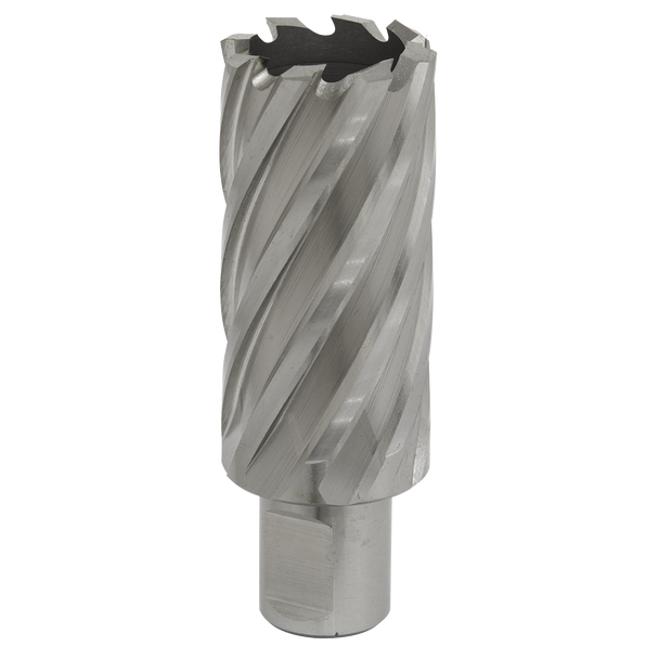 Worksafe® 30mm HSS Mag Drill Bit Cut Depth 50mm