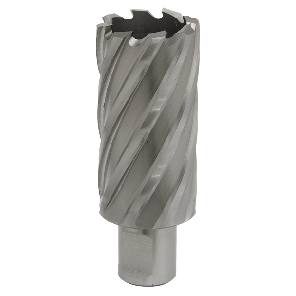 Worksafe® 32mm HSS Mag Drill Bit Cut Depth 50mm