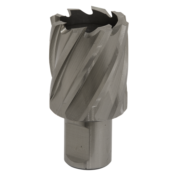 Worksafe® 32mm HSS Mag Drill Bit Cut Depth 25mm