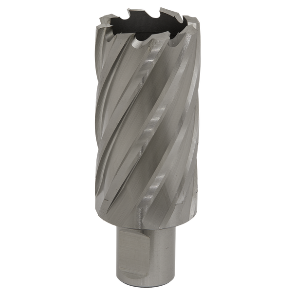 Worksafe® 33mm HSS Mag Drill Bit Cut Depth 50mm