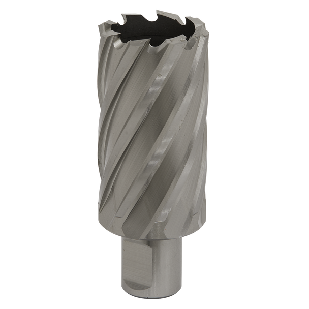 Worksafe® 34mm HSS Mag Drill Bit Cut Depth 50mm