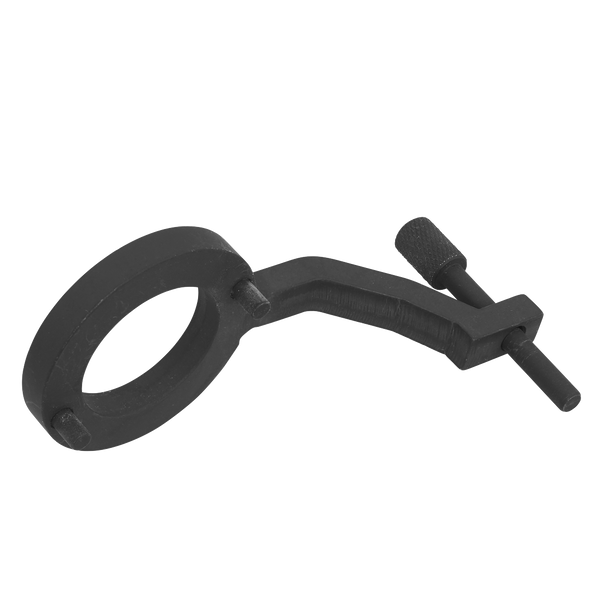Fuel Pump Holding Tool - for Jaguar, Land Rover 3.0D - Belt Drive