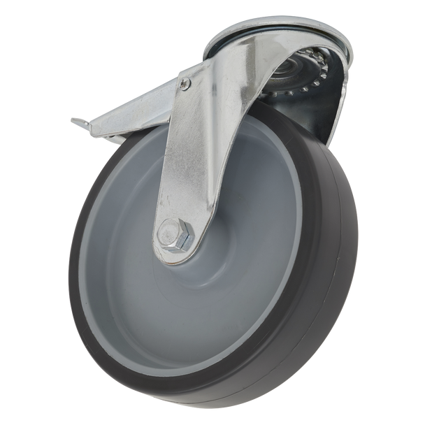 100mm Castor Wheel with Bolt Hole & Total Lock - SCW2100SBLEM