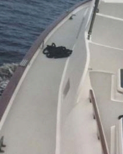 Raptor protects boats and gives a durable surface