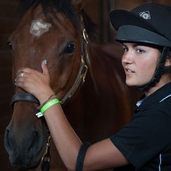 Horses, Helmets and Hawgs!