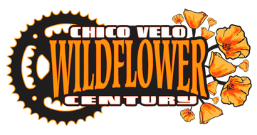 wildflower-century.png